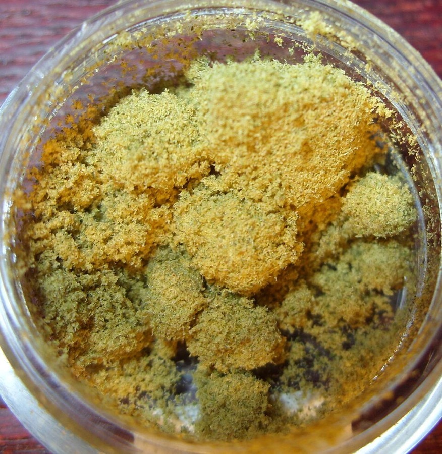 Dry sift dourado dentro de um pote de vidro, visto de cima