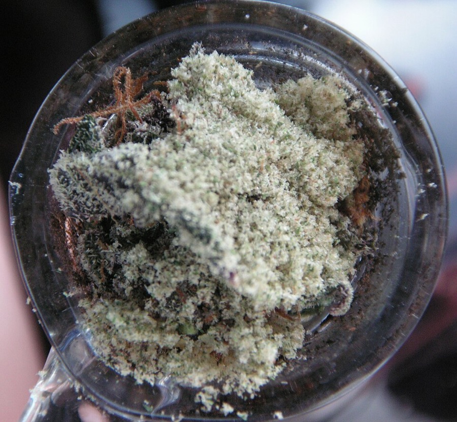 Kief claro amontoado numa tigela de vidro